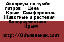 Аквариум на тумбе 200литров  › Цена ­ 10 000 - Крым, Симферополь Животные и растения » Аквариумистика   . Крым